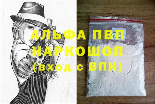 индика Слюдянка