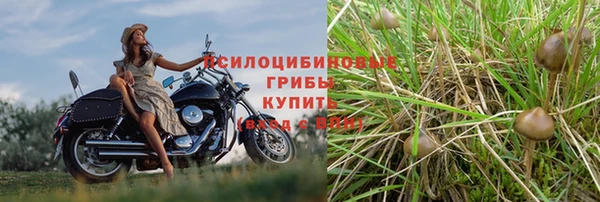 a pvp Нефтекумск