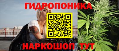 шишки Будённовск
