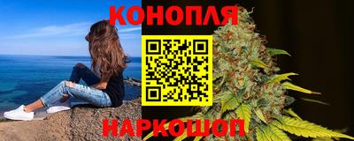 шишки Будённовск