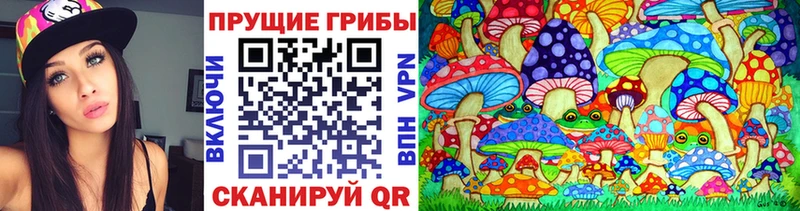 купить   Ковров  Галлюциногенные грибы Magic Shrooms 