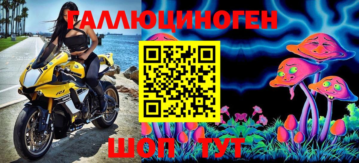Псилоцибиновые грибы мицелий Ковров