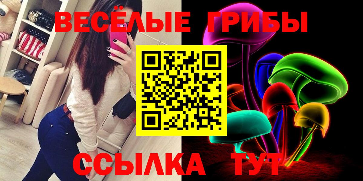 Псилоцибиновые грибы GOLDEN TEACHER  Вход с VPN  Галлюциногенные грибы ЛСД  Ковров 